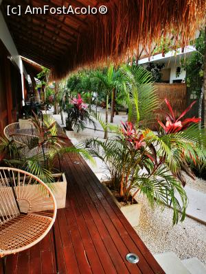 [P20] Terasa noastră » foto by cata2106
 - 
<span class="allrVoted glyphicon glyphicon-heart hidden" id="av1225414"></span>
<a class="m-l-10 hidden" id="sv1225414" onclick="voting_Foto_DelVot(,1225414,26809)" role="button">șterge vot <span class="glyphicon glyphicon-remove"></span></a>
<a id="v91225414" class=" c-red"  onclick="voting_Foto_SetVot(1225414)" role="button"><span class="glyphicon glyphicon-heart-empty"></span> <b>LIKE</b> = Votează poza</a> <img class="hidden"  id="f1225414W9" src="/imagini/loader.gif" border="0" /><span class="AjErrMes hidden" id="e1225414ErM"></span>