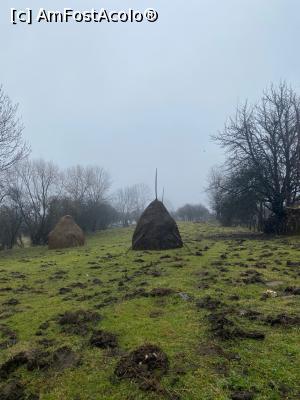 [P05] Curtea din spatele casei » foto by Trank
 - 
<span class="allrVoted glyphicon glyphicon-heart hidden" id="av1227501"></span>
<a class="m-l-10 hidden" id="sv1227501" onclick="voting_Foto_DelVot(,1227501,26827)" role="button">șterge vot <span class="glyphicon glyphicon-remove"></span></a>
<a id="v91227501" class=" c-red"  onclick="voting_Foto_SetVot(1227501)" role="button"><span class="glyphicon glyphicon-heart-empty"></span> <b>LIKE</b> = Votează poza</a> <img class="hidden"  id="f1227501W9" src="/imagini/loader.gif" border="0" /><span class="AjErrMes hidden" id="e1227501ErM"></span>