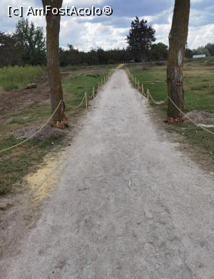 [P13] Drumul dinspre plaja catre Blaxy.. in fata este calea ferata si padurea! » foto by patrick007
 - 
<span class="allrVoted glyphicon glyphicon-heart hidden" id="av1229543"></span>
<a class="m-l-10 hidden" id="sv1229543" onclick="voting_Foto_DelVot(,1229543,26855)" role="button">șterge vot <span class="glyphicon glyphicon-remove"></span></a>
<a id="v91229543" class=" c-red"  onclick="voting_Foto_SetVot(1229543)" role="button"><span class="glyphicon glyphicon-heart-empty"></span> <b>LIKE</b> = Votează poza</a> <img class="hidden"  id="f1229543W9" src="/imagini/loader.gif" border="0" /><span class="AjErrMes hidden" id="e1229543ErM"></span>