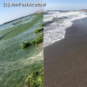 [P19] Cu alge / fara alge. » foto by patrick007
 - 
<span class="allrVoted glyphicon glyphicon-heart hidden" id="av1229565"></span>
<a class="m-l-10 hidden" id="sv1229565" onclick="voting_Foto_DelVot(,1229565,26855)" role="button">șterge vot <span class="glyphicon glyphicon-remove"></span></a>
<a id="v91229565" class=" c-red"  onclick="voting_Foto_SetVot(1229565)" role="button"><span class="glyphicon glyphicon-heart-empty"></span> <b>LIKE</b> = Votează poza</a> <img class="hidden"  id="f1229565W9" src="/imagini/loader.gif" border="0" /><span class="AjErrMes hidden" id="e1229565ErM"></span>