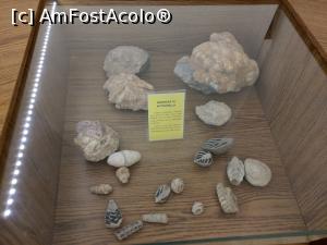 [P48] MCDR, secția de științe ale naturii. » foto by maryka
 - 
<span class="allrVoted glyphicon glyphicon-heart hidden" id="av1230021"></span>
<a class="m-l-10 hidden" id="sv1230021" onclick="voting_Foto_DelVot(,1230021,26859)" role="button">șterge vot <span class="glyphicon glyphicon-remove"></span></a>
<a id="v91230021" class=" c-red"  onclick="voting_Foto_SetVot(1230021)" role="button"><span class="glyphicon glyphicon-heart-empty"></span> <b>LIKE</b> = Votează poza</a> <img class="hidden"  id="f1230021W9" src="/imagini/loader.gif" border="0" /><span class="AjErrMes hidden" id="e1230021ErM"></span>