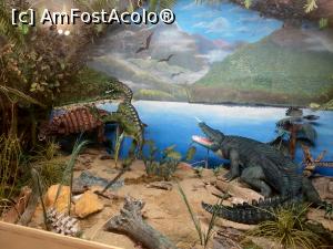 [P53] MCDR, secția de științe ale naturii. » foto by maryka
 - 
<span class="allrVoted glyphicon glyphicon-heart hidden" id="av1230026"></span>
<a class="m-l-10 hidden" id="sv1230026" onclick="voting_Foto_DelVot(,1230026,26859)" role="button">șterge vot <span class="glyphicon glyphicon-remove"></span></a>
<a id="v91230026" class=" c-red"  onclick="voting_Foto_SetVot(1230026)" role="button"><span class="glyphicon glyphicon-heart-empty"></span> <b>LIKE</b> = Votează poza</a> <img class="hidden"  id="f1230026W9" src="/imagini/loader.gif" border="0" /><span class="AjErrMes hidden" id="e1230026ErM"></span>