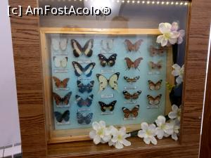 [P54] MCDR, secția de științe ale naturii. » foto by maryka
 - 
<span class="allrVoted glyphicon glyphicon-heart hidden" id="av1230027"></span>
<a class="m-l-10 hidden" id="sv1230027" onclick="voting_Foto_DelVot(,1230027,26859)" role="button">șterge vot <span class="glyphicon glyphicon-remove"></span></a>
<a id="v91230027" class=" c-red"  onclick="voting_Foto_SetVot(1230027)" role="button"><span class="glyphicon glyphicon-heart-empty"></span> <b>LIKE</b> = Votează poza</a> <img class="hidden"  id="f1230027W9" src="/imagini/loader.gif" border="0" /><span class="AjErrMes hidden" id="e1230027ErM"></span>