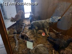 [P56] MCDR, secția de științe ale naturii. » foto by maryka
 - 
<span class="allrVoted glyphicon glyphicon-heart hidden" id="av1230029"></span>
<a class="m-l-10 hidden" id="sv1230029" onclick="voting_Foto_DelVot(,1230029,26859)" role="button">șterge vot <span class="glyphicon glyphicon-remove"></span></a>
<a id="v91230029" class=" c-red"  onclick="voting_Foto_SetVot(1230029)" role="button"><span class="glyphicon glyphicon-heart-empty"></span> <b>LIKE</b> = Votează poza</a> <img class="hidden"  id="f1230029W9" src="/imagini/loader.gif" border="0" /><span class="AjErrMes hidden" id="e1230029ErM"></span>