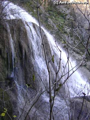 [P08] Aceeasi cascada vazuta de sus » foto by Testosu'
 - 
<span class="allrVoted glyphicon glyphicon-heart hidden" id="av597246"></span>
<a class="m-l-10 hidden" id="sv597246" onclick="voting_Foto_DelVot(,597246,26861)" role="button">șterge vot <span class="glyphicon glyphicon-remove"></span></a>
<a id="v9597246" class=" c-red"  onclick="voting_Foto_SetVot(597246)" role="button"><span class="glyphicon glyphicon-heart-empty"></span> <b>LIKE</b> = Votează poza</a> <img class="hidden"  id="f597246W9" src="/imagini/loader.gif" border="0" /><span class="AjErrMes hidden" id="e597246ErM"></span>