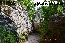 [P16] Poteca ingusta ce duce printre doi pereti de stanca.  » foto by fregata
 - 
<span class="allrVoted glyphicon glyphicon-heart hidden" id="av415844"></span>
<a class="m-l-10 hidden" id="sv415844" onclick="voting_Foto_DelVot(,415844,26861)" role="button">șterge vot <span class="glyphicon glyphicon-remove"></span></a>
<a id="v9415844" class=" c-red"  onclick="voting_Foto_SetVot(415844)" role="button"><span class="glyphicon glyphicon-heart-empty"></span> <b>LIKE</b> = Votează poza</a> <img class="hidden"  id="f415844W9" src="/imagini/loader.gif" border="0" /><span class="AjErrMes hidden" id="e415844ErM"></span>