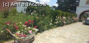 [P22] Mănăstirea Balaciu, Ialomița » foto by Mioritik
 - 
<span class="allrVoted glyphicon glyphicon-heart hidden" id="av1242425"></span>
<a class="m-l-10 hidden" id="sv1242425" onclick="voting_Foto_DelVot(,1242425,26966)" role="button">șterge vot <span class="glyphicon glyphicon-remove"></span></a>
<a id="v91242425" class=" c-red"  onclick="voting_Foto_SetVot(1242425)" role="button"><span class="glyphicon glyphicon-heart-empty"></span> <b>LIKE</b> = Votează poza</a> <img class="hidden"  id="f1242425W9" src="/imagini/loader.gif" border="0" /><span class="AjErrMes hidden" id="e1242425ErM"></span>