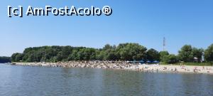 [P02] Plaja de la Podul 4 - cam la 7 km &icirc;n amonte de Călărași » foto by k-lator
 - 
<span class="allrVoted glyphicon glyphicon-heart hidden" id="av1242649"></span>
<a class="m-l-10 hidden" id="sv1242649" onclick="voting_Foto_DelVot(,1242649,26973)" role="button">șterge vot <span class="glyphicon glyphicon-remove"></span></a>
<a id="v91242649" class=" c-red"  onclick="voting_Foto_SetVot(1242649)" role="button"><span class="glyphicon glyphicon-heart-empty"></span> <b>LIKE</b> = Votează poza</a> <img class="hidden"  id="f1242649W9" src="/imagini/loader.gif" border="0" /><span class="AjErrMes hidden" id="e1242649ErM"></span>