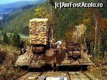 [P13] A fost odata ca niciodata...Planul Inclinat » foto by ancamariagadea*
 - 
<span class="allrVoted glyphicon glyphicon-heart hidden" id="av91231"></span>
<a class="m-l-10 hidden" id="sv91231" onclick="voting_Foto_DelVot(,91231,27034)" role="button">șterge vot <span class="glyphicon glyphicon-remove"></span></a>
<a id="v991231" class=" c-red"  onclick="voting_Foto_SetVot(91231)" role="button"><span class="glyphicon glyphicon-heart-empty"></span> <b>LIKE</b> = Votează poza</a> <img class="hidden"  id="f91231W9" src="/imagini/loader.gif" border="0" /><span class="AjErrMes hidden" id="e91231ErM"></span>