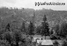 [P15] http://caiferate.21.forumer.com Dealul Siclaului dupa dezastrul natural din 1995 » foto by ancamariagadea* <span class="label label-default labelC_thin small">NEVOTABILĂ</span>