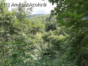 [P07] Planul înclinat » foto by adso
 - 
<span class="allrVoted glyphicon glyphicon-heart hidden" id="av1248924"></span>
<a class="m-l-10 hidden" id="sv1248924" onclick="voting_Foto_DelVot(,1248924,27034)" role="button">șterge vot <span class="glyphicon glyphicon-remove"></span></a>
<a id="v91248924" class=" c-red"  onclick="voting_Foto_SetVot(1248924)" role="button"><span class="glyphicon glyphicon-heart-empty"></span> <b>LIKE</b> = Votează poza</a> <img class="hidden"  id="f1248924W9" src="/imagini/loader.gif" border="0" /><span class="AjErrMes hidden" id="e1248924ErM"></span>