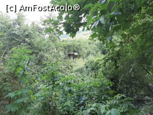 [P08] Planul înclinat » foto by adso
 - 
<span class="allrVoted glyphicon glyphicon-heart hidden" id="av1248925"></span>
<a class="m-l-10 hidden" id="sv1248925" onclick="voting_Foto_DelVot(,1248925,27034)" role="button">șterge vot <span class="glyphicon glyphicon-remove"></span></a>
<a id="v91248925" class=" c-red"  onclick="voting_Foto_SetVot(1248925)" role="button"><span class="glyphicon glyphicon-heart-empty"></span> <b>LIKE</b> = Votează poza</a> <img class="hidden"  id="f1248925W9" src="/imagini/loader.gif" border="0" /><span class="AjErrMes hidden" id="e1248925ErM"></span>