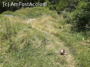 [P09] Planul înclinat » foto by adso
 - 
<span class="allrVoted glyphicon glyphicon-heart hidden" id="av1248926"></span>
<a class="m-l-10 hidden" id="sv1248926" onclick="voting_Foto_DelVot(,1248926,27034)" role="button">șterge vot <span class="glyphicon glyphicon-remove"></span></a>
<a id="v91248926" class=" c-red"  onclick="voting_Foto_SetVot(1248926)" role="button"><span class="glyphicon glyphicon-heart-empty"></span> <b>LIKE</b> = Votează poza</a> <img class="hidden"  id="f1248926W9" src="/imagini/loader.gif" border="0" /><span class="AjErrMes hidden" id="e1248926ErM"></span>