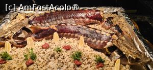 [P29] Si acum salivez uitandu-ma la el. » foto by kmy
 - 
<span class="allrVoted glyphicon glyphicon-heart hidden" id="av1515603"></span>
<a class="m-l-10 hidden" id="sv1515603" onclick="voting_Foto_DelVot(,1515603,27047)" role="button">șterge vot <span class="glyphicon glyphicon-remove"></span></a>
<a id="v91515603" class=" c-red"  onclick="voting_Foto_SetVot(1515603)" role="button"><span class="glyphicon glyphicon-heart-empty"></span> <b>LIKE</b> = Votează poza</a> <img class="hidden"  id="f1515603W9" src="/imagini/loader.gif" border="0" /><span class="AjErrMes hidden" id="e1515603ErM"></span>