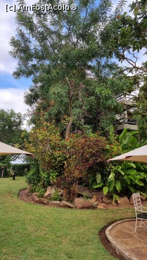 [P25] grădina exotică din spate » foto by robert
 - 
<span class="allrVoted glyphicon glyphicon-heart hidden" id="av1251720"></span>
<a class="m-l-10 hidden" id="sv1251720" onclick="voting_Foto_DelVot(,1251720,27058)" role="button">șterge vot <span class="glyphicon glyphicon-remove"></span></a>
<a id="v91251720" class=" c-red"  onclick="voting_Foto_SetVot(1251720)" role="button"><span class="glyphicon glyphicon-heart-empty"></span> <b>LIKE</b> = Votează poza</a> <img class="hidden"  id="f1251720W9" src="/imagini/loader.gif" border="0" /><span class="AjErrMes hidden" id="e1251720ErM"></span>