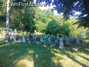 [P07] Ansamblul rupestru Aluniș » foto by Mioritik
 - 
<span class="allrVoted glyphicon glyphicon-heart hidden" id="av1254847"></span>
<a class="m-l-10 hidden" id="sv1254847" onclick="voting_Foto_DelVot(,1254847,27078)" role="button">șterge vot <span class="glyphicon glyphicon-remove"></span></a>
<a id="v91254847" class=" c-red"  onclick="voting_Foto_SetVot(1254847)" role="button"><span class="glyphicon glyphicon-heart-empty"></span> <b>LIKE</b> = Votează poza</a> <img class="hidden"  id="f1254847W9" src="/imagini/loader.gif" border="0" /><span class="AjErrMes hidden" id="e1254847ErM"></span>