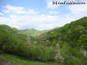 [P34] Natura s-a îmbrăcat în haine noi și ne mulțumește cu știe ea mai bine că am avut răbdare cu drumul dificil și am ajuns pe aceste meleaguri.  » foto by Floryn81
 - 
<span class="allrVoted glyphicon glyphicon-heart hidden" id="av637182"></span>
<a class="m-l-10 hidden" id="sv637182" onclick="voting_Foto_DelVot(,637182,27078)" role="button">șterge vot <span class="glyphicon glyphicon-remove"></span></a>
<a id="v9637182" class=" c-red"  onclick="voting_Foto_SetVot(637182)" role="button"><span class="glyphicon glyphicon-heart-empty"></span> <b>LIKE</b> = Votează poza</a> <img class="hidden"  id="f637182W9" src="/imagini/loader.gif" border="0" /><span class="AjErrMes hidden" id="e637182ErM"></span>