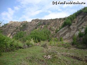 [P29] Spunem ”La revedere! ” zonei Colți-Aluniș, apoi ne îndreptăm încet către casă. Pe drum facem planuri pentru viitoare escapade...  » foto by Floryn81
 - 
<span class="allrVoted glyphicon glyphicon-heart hidden" id="av637920"></span>
<a class="m-l-10 hidden" id="sv637920" onclick="voting_Foto_DelVot(,637920,27089)" role="button">șterge vot <span class="glyphicon glyphicon-remove"></span></a>
<a id="v9637920" class=" c-red"  onclick="voting_Foto_SetVot(637920)" role="button"><span class="glyphicon glyphicon-heart-empty"></span> <b>LIKE</b> = Votează poza</a> <img class="hidden"  id="f637920W9" src="/imagini/loader.gif" border="0" /><span class="AjErrMes hidden" id="e637920ErM"></span>