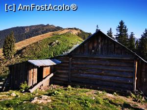 [P17] Prima stâna de pe Muntele lui Șerban » foto by cata2106
 - 
<span class="allrVoted glyphicon glyphicon-heart hidden" id="av1260984"></span>
<a class="m-l-10 hidden" id="sv1260984" onclick="voting_Foto_DelVot(,1260984,27136)" role="button">șterge vot <span class="glyphicon glyphicon-remove"></span></a>
<a id="v91260984" class=" c-red"  onclick="voting_Foto_SetVot(1260984)" role="button"><span class="glyphicon glyphicon-heart-empty"></span> <b>LIKE</b> = Votează poza</a> <img class="hidden"  id="f1260984W9" src="/imagini/loader.gif" border="0" /><span class="AjErrMes hidden" id="e1260984ErM"></span>