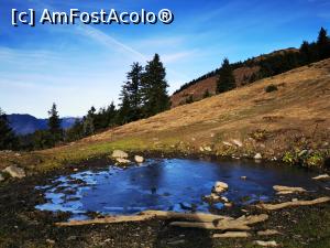 [P28] Un mic heleșteu înghețat » foto by cata2106
 - 
<span class="allrVoted glyphicon glyphicon-heart hidden" id="av1264954"></span>
<a class="m-l-10 hidden" id="sv1264954" onclick="voting_Foto_DelVot(,1264954,27136)" role="button">șterge vot <span class="glyphicon glyphicon-remove"></span></a>
<a id="v91264954" class=" c-red"  onclick="voting_Foto_SetVot(1264954)" role="button"><span class="glyphicon glyphicon-heart-empty"></span> <b>LIKE</b> = Votează poza</a> <img class="hidden"  id="f1264954W9" src="/imagini/loader.gif" border="0" /><span class="AjErrMes hidden" id="e1264954ErM"></span>