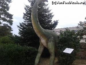 [P15] IN incinta MUZEULUI DE ISTORIE NATURALA bruckenthal » foto by danadana*
 - 
<span class="allrVoted glyphicon glyphicon-heart hidden" id="av567539"></span>
<a class="m-l-10 hidden" id="sv567539" onclick="voting_Foto_DelVot(,567539,27170)" role="button">șterge vot <span class="glyphicon glyphicon-remove"></span></a>
<a id="v9567539" class=" c-red"  onclick="voting_Foto_SetVot(567539)" role="button"><span class="glyphicon glyphicon-heart-empty"></span> <b>LIKE</b> = Votează poza</a> <img class="hidden"  id="f567539W9" src="/imagini/loader.gif" border="0" /><span class="AjErrMes hidden" id="e567539ErM"></span>