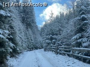 [P17]  -- <small>// FĂRĂ DESCRIERE</small> » foto by alex silva
 - 
<span class="allrVoted glyphicon glyphicon-heart hidden" id="av1268011"></span>
<a class="m-l-10 hidden" id="sv1268011" onclick="voting_Foto_DelVot(,1268011,27210)" role="button">șterge vot <span class="glyphicon glyphicon-remove"></span></a>
<a id="v91268011" class=" c-red"  onclick="voting_Foto_SetVot(1268011)" role="button"><span class="glyphicon glyphicon-heart-empty"></span> <b>LIKE</b> = Votează poza</a> <img class="hidden"  id="f1268011W9" src="/imagini/loader.gif" border="0" /><span class="AjErrMes hidden" id="e1268011ErM"></span>