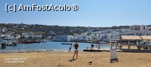 [P06] Plaja și locul unde se ține piața de pește în portul vechi Mykonos » foto by irinad
 - 
<span class="allrVoted glyphicon glyphicon-heart hidden" id="av1538036"></span>
<a class="m-l-10 hidden" id="sv1538036" onclick="voting_Foto_DelVot(,1538036,27222)" role="button">șterge vot <span class="glyphicon glyphicon-remove"></span></a>
<a id="v91538036" class=" c-red"  onclick="voting_Foto_SetVot(1538036)" role="button"><span class="glyphicon glyphicon-heart-empty"></span> <b>LIKE</b> = Votează poza</a> <img class="hidden"  id="f1538036W9" src="/imagini/loader.gif" border="0" /><span class="AjErrMes hidden" id="e1538036ErM"></span>