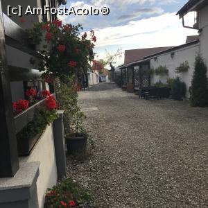 [P05] Aleea din curtea pensiunii Alina Sibiu » foto by adynutza26
 - 
<span class="allrVoted glyphicon glyphicon-heart hidden" id="av1270209"></span>
<a class="m-l-10 hidden" id="sv1270209" onclick="voting_Foto_DelVot(,1270209,27225)" role="button">șterge vot <span class="glyphicon glyphicon-remove"></span></a>
<a id="v91270209" class=" c-red"  onclick="voting_Foto_SetVot(1270209)" role="button"><span class="glyphicon glyphicon-heart-empty"></span> <b>LIKE</b> = Votează poza</a> <img class="hidden"  id="f1270209W9" src="/imagini/loader.gif" border="0" /><span class="AjErrMes hidden" id="e1270209ErM"></span>