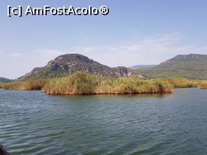 [P18] Plaja Iztuzu şi Delta Dalyan - stufăriş » foto by nicole33
 - 
<span class="allrVoted glyphicon glyphicon-heart hidden" id="av1271300"></span>
<a class="m-l-10 hidden" id="sv1271300" onclick="voting_Foto_DelVot(,1271300,27236)" role="button">șterge vot <span class="glyphicon glyphicon-remove"></span></a>
<a id="v91271300" class=" c-red"  onclick="voting_Foto_SetVot(1271300)" role="button"><span class="glyphicon glyphicon-heart-empty"></span> <b>LIKE</b> = Votează poza</a> <img class="hidden"  id="f1271300W9" src="/imagini/loader.gif" border="0" /><span class="AjErrMes hidden" id="e1271300ErM"></span>