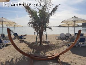 [P07] Plaja hotel » foto by mircealex
 - 
<span class="allrVoted glyphicon glyphicon-heart hidden" id="av1271983"></span>
<a class="m-l-10 hidden" id="sv1271983" onclick="voting_Foto_DelVot(,1271983,27241)" role="button">șterge vot <span class="glyphicon glyphicon-remove"></span></a>
<a id="v91271983" class=" c-red"  onclick="voting_Foto_SetVot(1271983)" role="button"><span class="glyphicon glyphicon-heart-empty"></span> <b>LIKE</b> = Votează poza</a> <img class="hidden"  id="f1271983W9" src="/imagini/loader.gif" border="0" /><span class="AjErrMes hidden" id="e1271983ErM"></span>