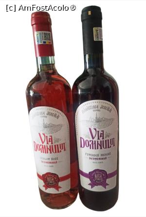 [P08] Vin Mănăstirea Jercălăi » foto by kemi27
 - 
<span class="allrVoted glyphicon glyphicon-heart hidden" id="av1485962"></span>
<a class="m-l-10 hidden" id="sv1485962" onclick="voting_Foto_DelVot(,1485962,27275)" role="button">șterge vot <span class="glyphicon glyphicon-remove"></span></a>
<a id="v91485962" class=" c-red"  onclick="voting_Foto_SetVot(1485962)" role="button"><span class="glyphicon glyphicon-heart-empty"></span> <b>LIKE</b> = Votează poza</a> <img class="hidden"  id="f1485962W9" src="/imagini/loader.gif" border="0" /><span class="AjErrMes hidden" id="e1485962ErM"></span>