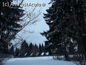[P20] Izvoru Mureșului » foto by Mioritik
 - 
<span class="allrVoted glyphicon glyphicon-heart hidden" id="av1275345"></span>
<a class="m-l-10 hidden" id="sv1275345" onclick="voting_Foto_DelVot(,1275345,27280)" role="button">șterge vot <span class="glyphicon glyphicon-remove"></span></a>
<a id="v91275345" class=" c-red"  onclick="voting_Foto_SetVot(1275345)" role="button"><span class="glyphicon glyphicon-heart-empty"></span> <b>LIKE</b> = Votează poza</a> <img class="hidden"  id="f1275345W9" src="/imagini/loader.gif" border="0" /><span class="AjErrMes hidden" id="e1275345ErM"></span>