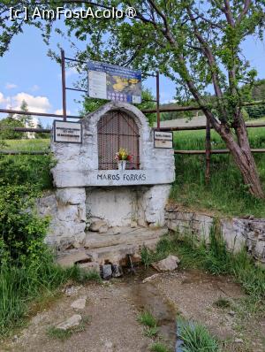 [P20] Locul de unde izvorăște Mureșul » foto by crismis
 - 
<span class="allrVoted glyphicon glyphicon-heart hidden" id="av1391769"></span>
<a class="m-l-10 hidden" id="sv1391769" onclick="voting_Foto_DelVot(,1391769,27280)" role="button">șterge vot <span class="glyphicon glyphicon-remove"></span></a>
<a id="v91391769" class=" c-red"  onclick="voting_Foto_SetVot(1391769)" role="button"><span class="glyphicon glyphicon-heart-empty"></span> <b>LIKE</b> = Votează poza</a> <img class="hidden"  id="f1391769W9" src="/imagini/loader.gif" border="0" /><span class="AjErrMes hidden" id="e1391769ErM"></span>