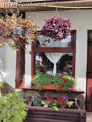 [P03] Restaurant Veverița - terasă » foto by crismis
 - 
<span class="allrVoted glyphicon glyphicon-heart hidden" id="av1391752"></span>
<a class="m-l-10 hidden" id="sv1391752" onclick="voting_Foto_DelVot(,1391752,27280)" role="button">șterge vot <span class="glyphicon glyphicon-remove"></span></a>
<a id="v91391752" class=" c-red"  onclick="voting_Foto_SetVot(1391752)" role="button"><span class="glyphicon glyphicon-heart-empty"></span> <b>LIKE</b> = Votează poza</a> <img class="hidden"  id="f1391752W9" src="/imagini/loader.gif" border="0" /><span class="AjErrMes hidden" id="e1391752ErM"></span>