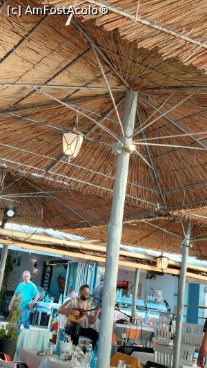 [P08] Taverna Trata » foto by Carmen Ion
 - 
<span class="allrVoted glyphicon glyphicon-heart hidden" id="av1377915"></span>
<a class="m-l-10 hidden" id="sv1377915" onclick="voting_Foto_DelVot(,1377915,27299)" role="button">șterge vot <span class="glyphicon glyphicon-remove"></span></a>
<a id="v91377915" class=" c-red"  onclick="voting_Foto_SetVot(1377915)" role="button"><span class="glyphicon glyphicon-heart-empty"></span> <b>LIKE</b> = Votează poza</a> <img class="hidden"  id="f1377915W9" src="/imagini/loader.gif" border="0" /><span class="AjErrMes hidden" id="e1377915ErM"></span>