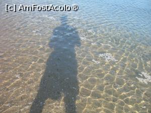 [P03] Umbra Marelui Alb » foto by Dracula63
 - 
<span class="allrVoted glyphicon glyphicon-heart hidden" id="av1500591"></span>
<a class="m-l-10 hidden" id="sv1500591" onclick="voting_Foto_DelVot(,1500591,27300)" role="button">șterge vot <span class="glyphicon glyphicon-remove"></span></a>
<a id="v91500591" class=" c-red"  onclick="voting_Foto_SetVot(1500591)" role="button"><span class="glyphicon glyphicon-heart-empty"></span> <b>LIKE</b> = Votează poza</a> <img class="hidden"  id="f1500591W9" src="/imagini/loader.gif" border="0" /><span class="AjErrMes hidden" id="e1500591ErM"></span>