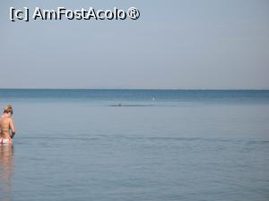 [P05] Marele Alb intre Geamandura si Moby Dick » foto by Dracula63
 - 
<span class="allrVoted glyphicon glyphicon-heart hidden" id="av1500593"></span>
<a class="m-l-10 hidden" id="sv1500593" onclick="voting_Foto_DelVot(,1500593,27300)" role="button">șterge vot <span class="glyphicon glyphicon-remove"></span></a>
<a id="v91500593" class=" c-red"  onclick="voting_Foto_SetVot(1500593)" role="button"><span class="glyphicon glyphicon-heart-empty"></span> <b>LIKE</b> = Votează poza</a> <img class="hidden"  id="f1500593W9" src="/imagini/loader.gif" border="0" /><span class="AjErrMes hidden" id="e1500593ErM"></span>