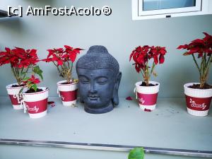 [P28] Decorațiuni » foto by crismis
 - 
<span class="allrVoted glyphicon glyphicon-heart hidden" id="av1287006"></span>
<a class="m-l-10 hidden" id="sv1287006" onclick="voting_Foto_DelVot(,1287006,27393)" role="button">șterge vot <span class="glyphicon glyphicon-remove"></span></a>
<a id="v91287006" class=" c-red"  onclick="voting_Foto_SetVot(1287006)" role="button"><span class="glyphicon glyphicon-heart-empty"></span> <b>LIKE</b> = Votează poza</a> <img class="hidden"  id="f1287006W9" src="/imagini/loader.gif" border="0" /><span class="AjErrMes hidden" id="e1287006ErM"></span>