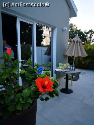 [P33] Mica noastră terasă » foto by crismis
 - 
<span class="allrVoted glyphicon glyphicon-heart hidden" id="av1287011"></span>
<a class="m-l-10 hidden" id="sv1287011" onclick="voting_Foto_DelVot(,1287011,27393)" role="button">șterge vot <span class="glyphicon glyphicon-remove"></span></a>
<a id="v91287011" class=" c-red"  onclick="voting_Foto_SetVot(1287011)" role="button"><span class="glyphicon glyphicon-heart-empty"></span> <b>LIKE</b> = Votează poza</a> <img class="hidden"  id="f1287011W9" src="/imagini/loader.gif" border="0" /><span class="AjErrMes hidden" id="e1287011ErM"></span>