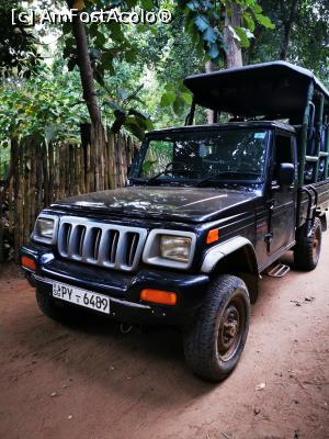 [P43] Jeep-ul cu care urma să mergem &icirc;n Parcul Național Udawalawe » foto by cata2106
 - 
<span class="allrVoted glyphicon glyphicon-heart hidden" id="av1287809"></span>
<a class="m-l-10 hidden" id="sv1287809" onclick="voting_Foto_DelVot(,1287809,27399)" role="button">șterge vot <span class="glyphicon glyphicon-remove"></span></a>
<a id="v91287809" class=" c-red"  onclick="voting_Foto_SetVot(1287809)" role="button"><span class="glyphicon glyphicon-heart-empty"></span> <b>LIKE</b> = Votează poza</a> <img class="hidden"  id="f1287809W9" src="/imagini/loader.gif" border="0" /><span class="AjErrMes hidden" id="e1287809ErM"></span>