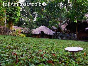 [P78] &Icirc;n curtea complexului » foto by cata2106
 - 
<span class="allrVoted glyphicon glyphicon-heart hidden" id="av1287844"></span>
<a class="m-l-10 hidden" id="sv1287844" onclick="voting_Foto_DelVot(,1287844,27399)" role="button">șterge vot <span class="glyphicon glyphicon-remove"></span></a>
<a id="v91287844" class=" c-red"  onclick="voting_Foto_SetVot(1287844)" role="button"><span class="glyphicon glyphicon-heart-empty"></span> <b>LIKE</b> = Votează poza</a> <img class="hidden"  id="f1287844W9" src="/imagini/loader.gif" border="0" /><span class="AjErrMes hidden" id="e1287844ErM"></span>