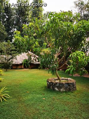 [P84] &Icirc;n curtea complexului » foto by cata2106
 - 
<span class="allrVoted glyphicon glyphicon-heart hidden" id="av1287850"></span>
<a class="m-l-10 hidden" id="sv1287850" onclick="voting_Foto_DelVot(,1287850,27399)" role="button">șterge vot <span class="glyphicon glyphicon-remove"></span></a>
<a id="v91287850" class=" c-red"  onclick="voting_Foto_SetVot(1287850)" role="button"><span class="glyphicon glyphicon-heart-empty"></span> <b>LIKE</b> = Votează poza</a> <img class="hidden"  id="f1287850W9" src="/imagini/loader.gif" border="0" /><span class="AjErrMes hidden" id="e1287850ErM"></span>