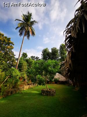 [P89] &Icirc;n curtea complexului » foto by cata2106
 - 
<span class="allrVoted glyphicon glyphicon-heart hidden" id="av1287855"></span>
<a class="m-l-10 hidden" id="sv1287855" onclick="voting_Foto_DelVot(,1287855,27399)" role="button">șterge vot <span class="glyphicon glyphicon-remove"></span></a>
<a id="v91287855" class=" c-red"  onclick="voting_Foto_SetVot(1287855)" role="button"><span class="glyphicon glyphicon-heart-empty"></span> <b>LIKE</b> = Votează poza</a> <img class="hidden"  id="f1287855W9" src="/imagini/loader.gif" border="0" /><span class="AjErrMes hidden" id="e1287855ErM"></span>