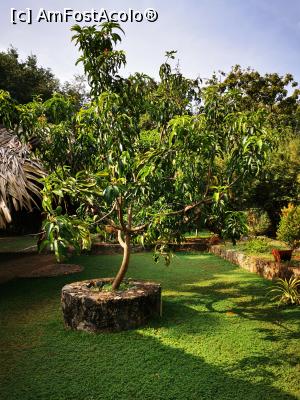 [P94] Spre grădină » foto by cata2106
 - 
<span class="allrVoted glyphicon glyphicon-heart hidden" id="av1287860"></span>
<a class="m-l-10 hidden" id="sv1287860" onclick="voting_Foto_DelVot(,1287860,27399)" role="button">șterge vot <span class="glyphicon glyphicon-remove"></span></a>
<a id="v91287860" class=" c-red"  onclick="voting_Foto_SetVot(1287860)" role="button"><span class="glyphicon glyphicon-heart-empty"></span> <b>LIKE</b> = Votează poza</a> <img class="hidden"  id="f1287860W9" src="/imagini/loader.gif" border="0" /><span class="AjErrMes hidden" id="e1287860ErM"></span>