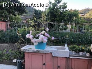 [P20] A Durmi - prin curte, se vede gradina care asigura legume proaspete, cred ca in curand urmau sa dea drumul si la a oferi micul dejun, acum inca erau restrictionati » foto by mishu
 - 
<span class="allrVoted glyphicon glyphicon-heart hidden" id="av1288614"></span>
<a class="m-l-10 hidden" id="sv1288614" onclick="voting_Foto_DelVot(,1288614,27406)" role="button">șterge vot <span class="glyphicon glyphicon-remove"></span></a>
<a id="v91288614" class=" c-red"  onclick="voting_Foto_SetVot(1288614)" role="button"><span class="glyphicon glyphicon-heart-empty"></span> <b>LIKE</b> = Votează poza</a> <img class="hidden"  id="f1288614W9" src="/imagini/loader.gif" border="0" /><span class="AjErrMes hidden" id="e1288614ErM"></span>