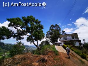 [P37] Vedere spre pensiune » foto by cata2106
 - 
<span class="allrVoted glyphicon glyphicon-heart hidden" id="av1289639"></span>
<a class="m-l-10 hidden" id="sv1289639" onclick="voting_Foto_DelVot(,1289639,27411)" role="button">șterge vot <span class="glyphicon glyphicon-remove"></span></a>
<a id="v91289639" class=" c-red"  onclick="voting_Foto_SetVot(1289639)" role="button"><span class="glyphicon glyphicon-heart-empty"></span> <b>LIKE</b> = Votează poza</a> <img class="hidden"  id="f1289639W9" src="/imagini/loader.gif" border="0" /><span class="AjErrMes hidden" id="e1289639ErM"></span>