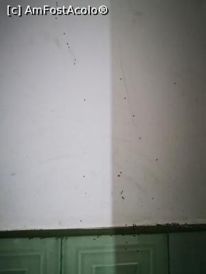 [P28] Insecte multe pe pereți » foto by cata2106
 - 
<span class="allrVoted glyphicon glyphicon-heart hidden" id="av1294431"></span>
<a class="m-l-10 hidden" id="sv1294431" onclick="voting_Foto_DelVot(,1294431,27442)" role="button">șterge vot <span class="glyphicon glyphicon-remove"></span></a>
<a id="v91294431" class=" c-red"  onclick="voting_Foto_SetVot(1294431)" role="button"><span class="glyphicon glyphicon-heart-empty"></span> <b>LIKE</b> = Votează poza</a> <img class="hidden"  id="f1294431W9" src="/imagini/loader.gif" border="0" /><span class="AjErrMes hidden" id="e1294431ErM"></span>