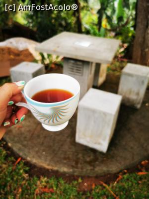 [P32] Un ceai &icirc;n curtea casei » foto by cata2106
 - 
<span class="allrVoted glyphicon glyphicon-heart hidden" id="av1294435"></span>
<a class="m-l-10 hidden" id="sv1294435" onclick="voting_Foto_DelVot(,1294435,27442)" role="button">șterge vot <span class="glyphicon glyphicon-remove"></span></a>
<a id="v91294435" class=" c-red"  onclick="voting_Foto_SetVot(1294435)" role="button"><span class="glyphicon glyphicon-heart-empty"></span> <b>LIKE</b> = Votează poza</a> <img class="hidden"  id="f1294435W9" src="/imagini/loader.gif" border="0" /><span class="AjErrMes hidden" id="e1294435ErM"></span>