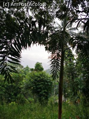 [P33] Curtea casei, priveliște » foto by cata2106
 - 
<span class="allrVoted glyphicon glyphicon-heart hidden" id="av1294436"></span>
<a class="m-l-10 hidden" id="sv1294436" onclick="voting_Foto_DelVot(,1294436,27442)" role="button">șterge vot <span class="glyphicon glyphicon-remove"></span></a>
<a id="v91294436" class=" c-red"  onclick="voting_Foto_SetVot(1294436)" role="button"><span class="glyphicon glyphicon-heart-empty"></span> <b>LIKE</b> = Votează poza</a> <img class="hidden"  id="f1294436W9" src="/imagini/loader.gif" border="0" /><span class="AjErrMes hidden" id="e1294436ErM"></span>