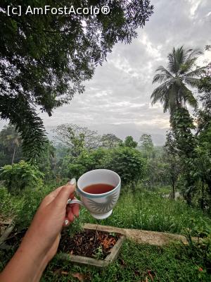 [P35] Un ceai cu vedere &icirc;n curte » foto by cata2106
 - 
<span class="allrVoted glyphicon glyphicon-heart hidden" id="av1294438"></span>
<a class="m-l-10 hidden" id="sv1294438" onclick="voting_Foto_DelVot(,1294438,27442)" role="button">șterge vot <span class="glyphicon glyphicon-remove"></span></a>
<a id="v91294438" class=" c-red"  onclick="voting_Foto_SetVot(1294438)" role="button"><span class="glyphicon glyphicon-heart-empty"></span> <b>LIKE</b> = Votează poza</a> <img class="hidden"  id="f1294438W9" src="/imagini/loader.gif" border="0" /><span class="AjErrMes hidden" id="e1294438ErM"></span>